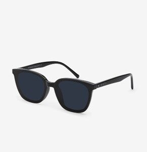 ALDO C1 Sunglasses
