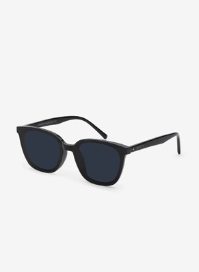 ALDO C1 Sunglasses