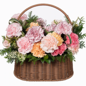 Carnation Basket [Seoul/Gyeonggi-do]