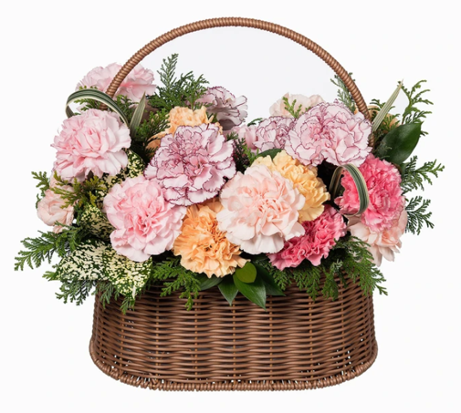 Carnation Basket [Seoul/Gyeonggi-do]