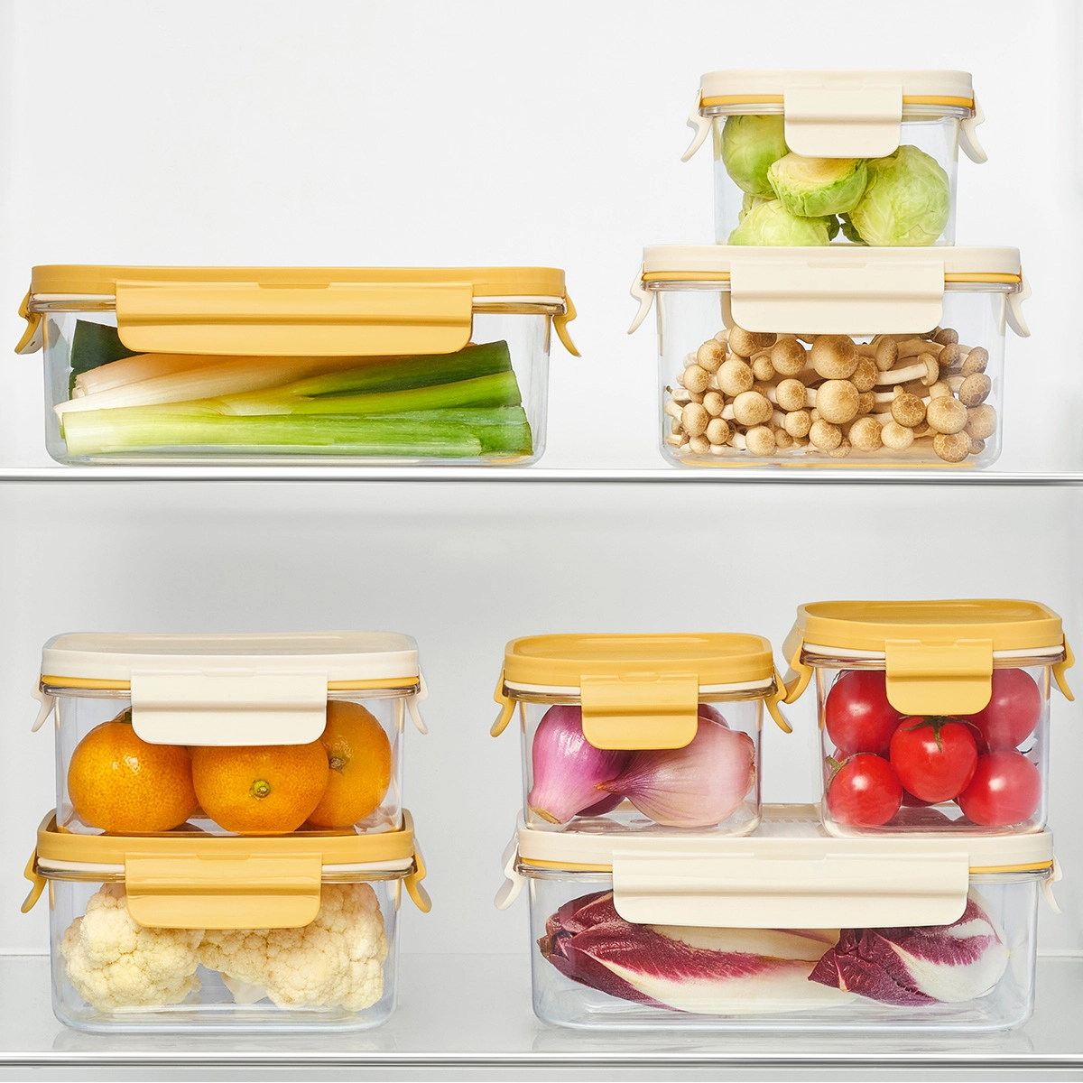 Lock&Lock Bisfree Modular Food Storage 16P