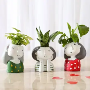Indoor Air Purifying Plant Trio
