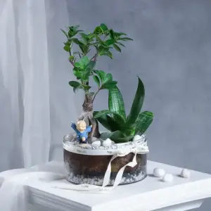 Bodhi Corner