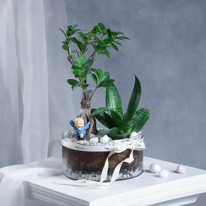 Bodhi Corner